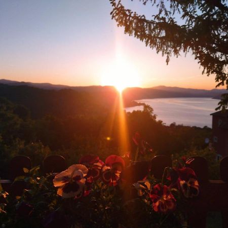 Apartmani Kuljanin Donji Milanovac Buitenkant foto