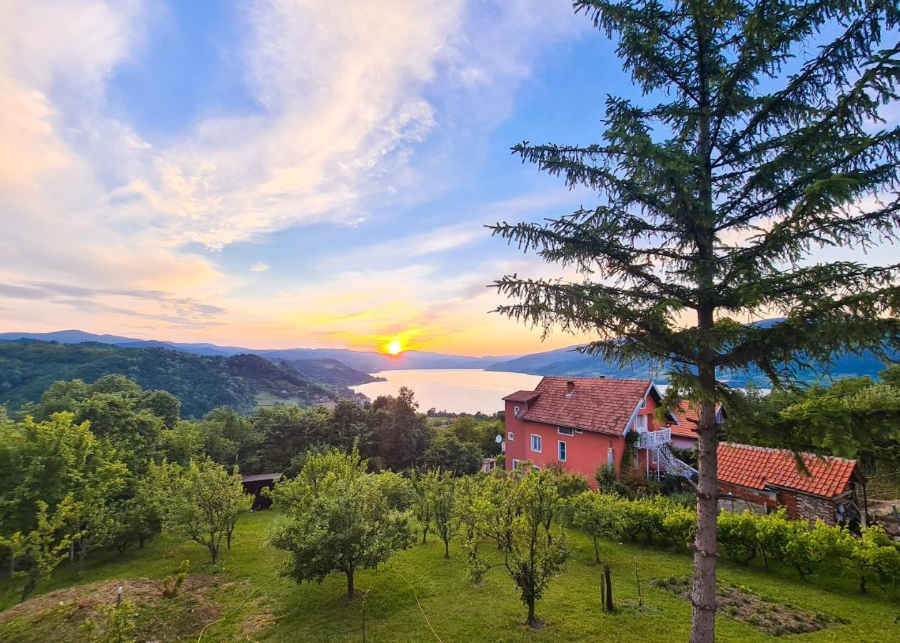 Apartmani Kuljanin Donji Milanovac Buitenkant foto