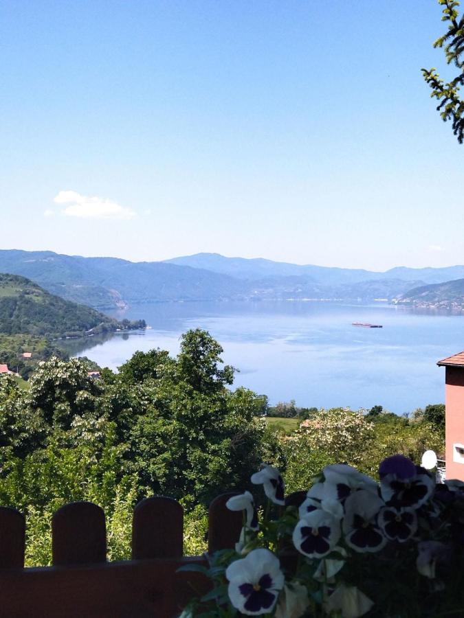 Apartmani Kuljanin Donji Milanovac Buitenkant foto