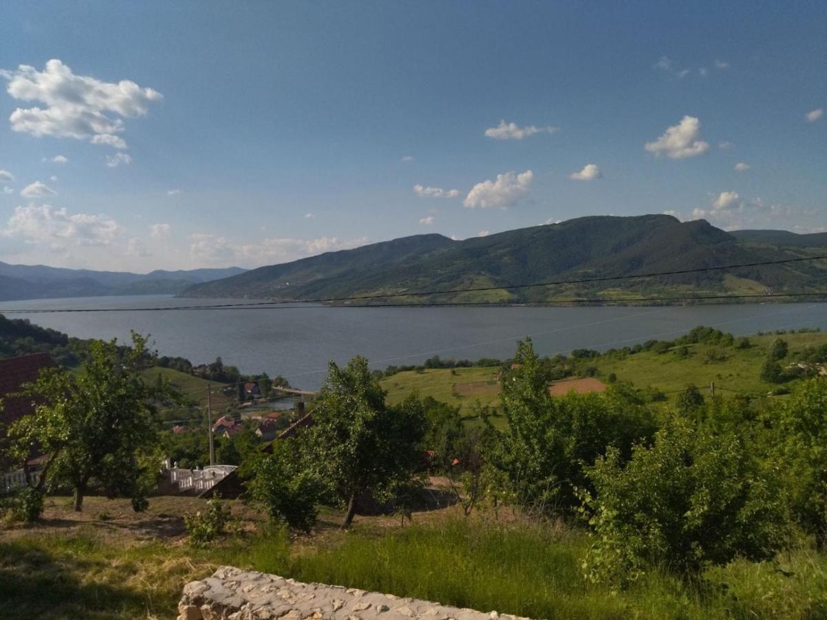 Apartmani Kuljanin Donji Milanovac Buitenkant foto