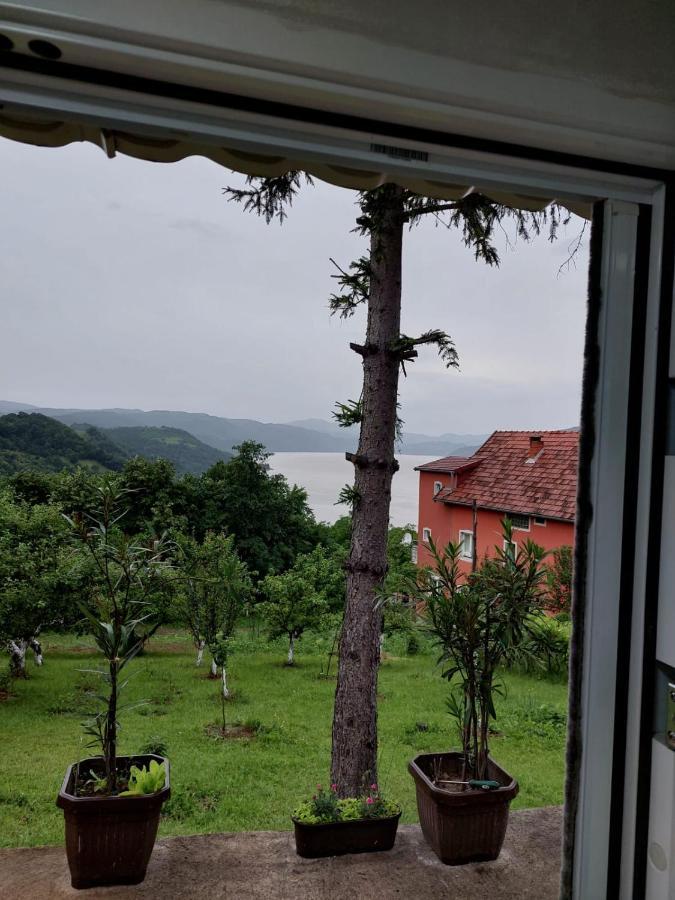 Apartmani Kuljanin Donji Milanovac Kamer foto