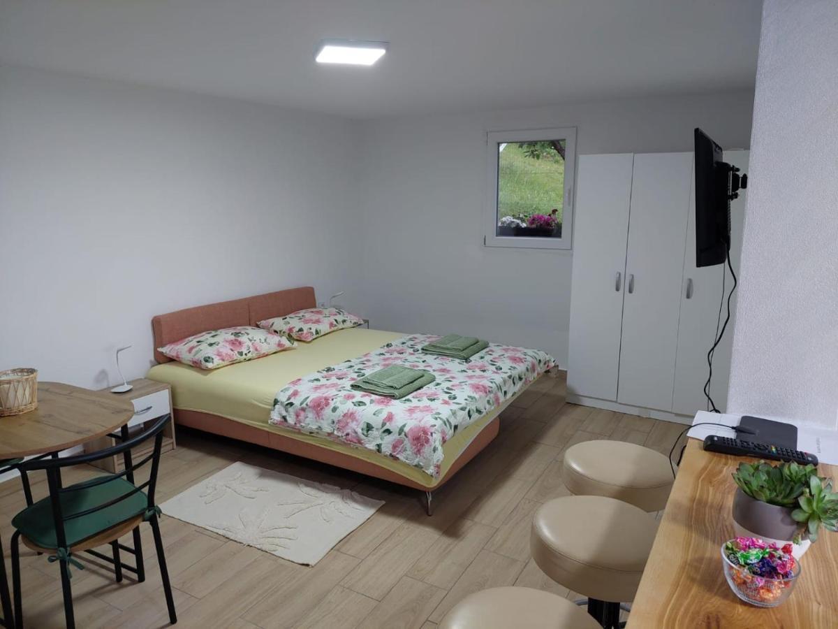 Apartmani Kuljanin Donji Milanovac Kamer foto